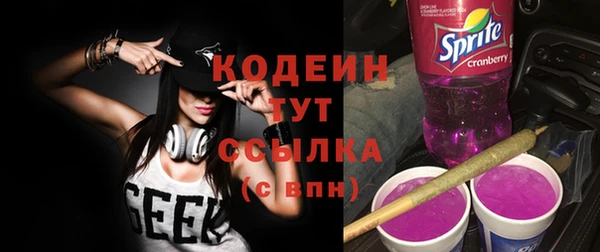 первитин Богданович