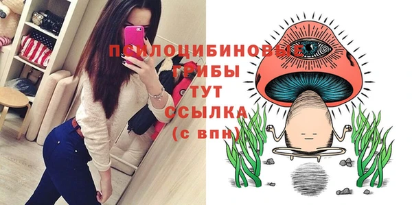 марихуана Богородицк